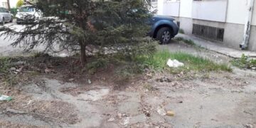 U nedelju će zasući rukave za čistiji prostor oko zgrada; foto: Zeleni zid Niš