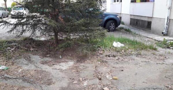 U nedelju će zasući rukave za čistiji prostor oko zgrada; foto: Zeleni zid Niš