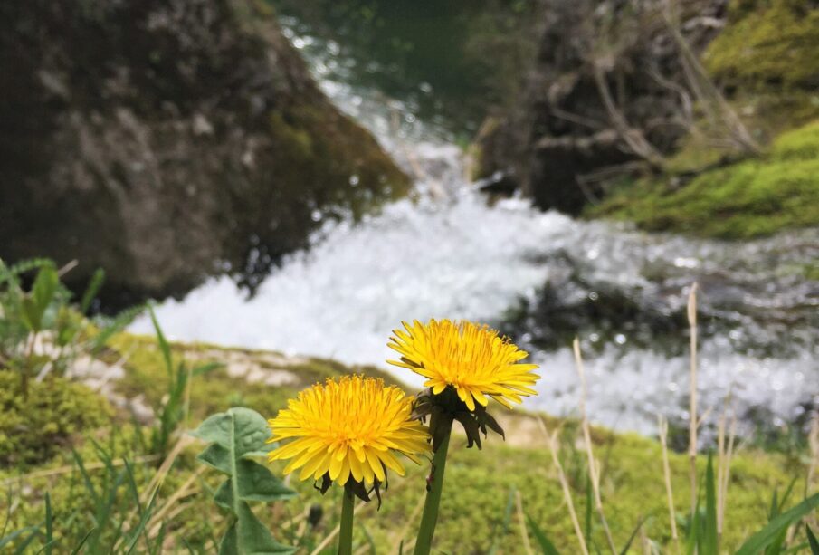 Foto: Nenad Ranđelović