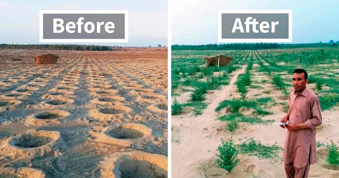 Pakistan’s Ten Billion Tree Tsunami - unep.org