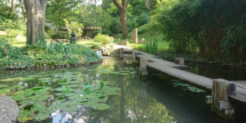 Ilustracija (Foto: Aleksandra Kekić / eKapija)