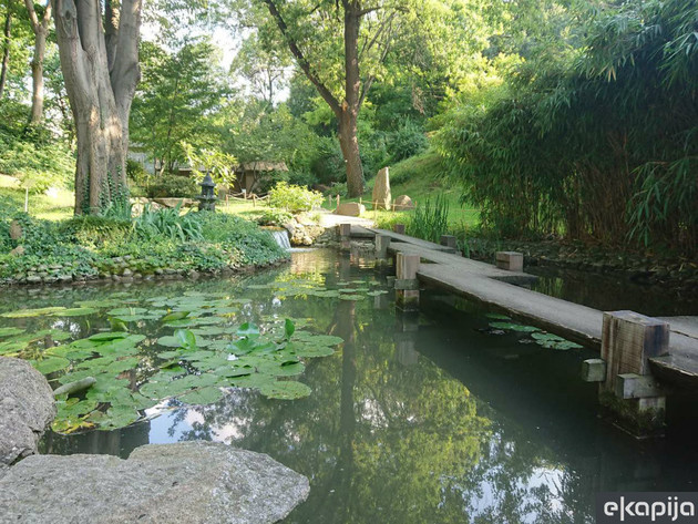 Ilustracija (Foto: Aleksandra Kekić / eKapija)