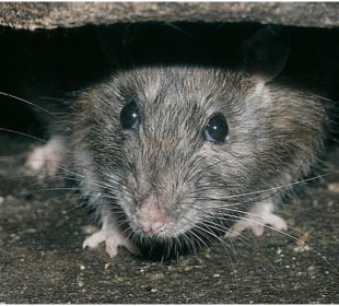 Foto: Getty Images