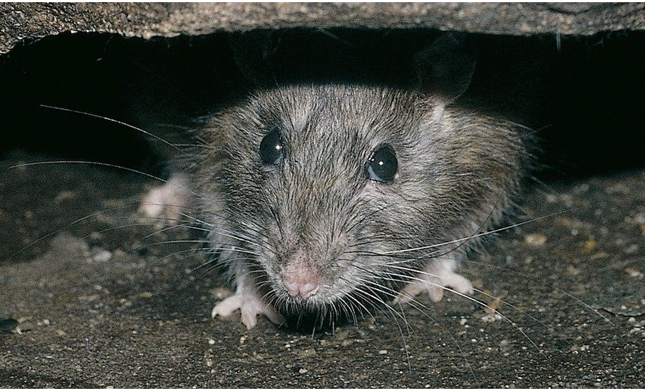 Foto: Getty Images