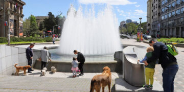 (фото Н. Марјановић)