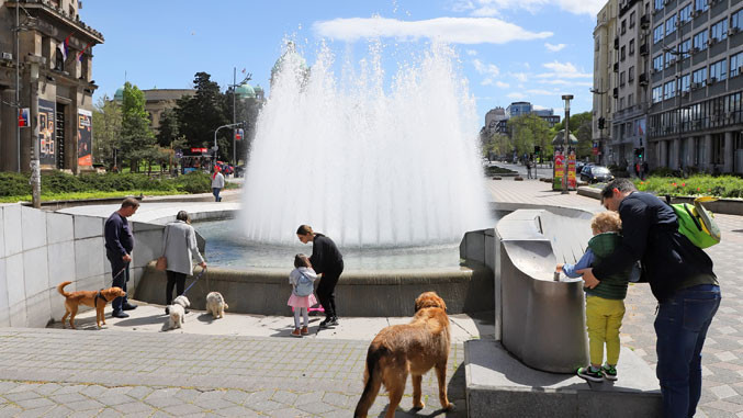 (фото Н. Марјановић)