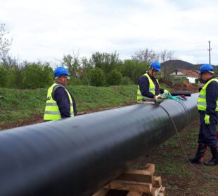 Preuzeto sa izvora: Foto: Niškle Vesti, B. Lj./ilustracija
