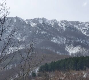 Preuzeto sa izvora: Foto: Niške Vesti, V.V./ilustracija