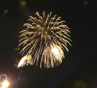 Preuzeto sa izvora: Foto: Niške Vesti/ JM