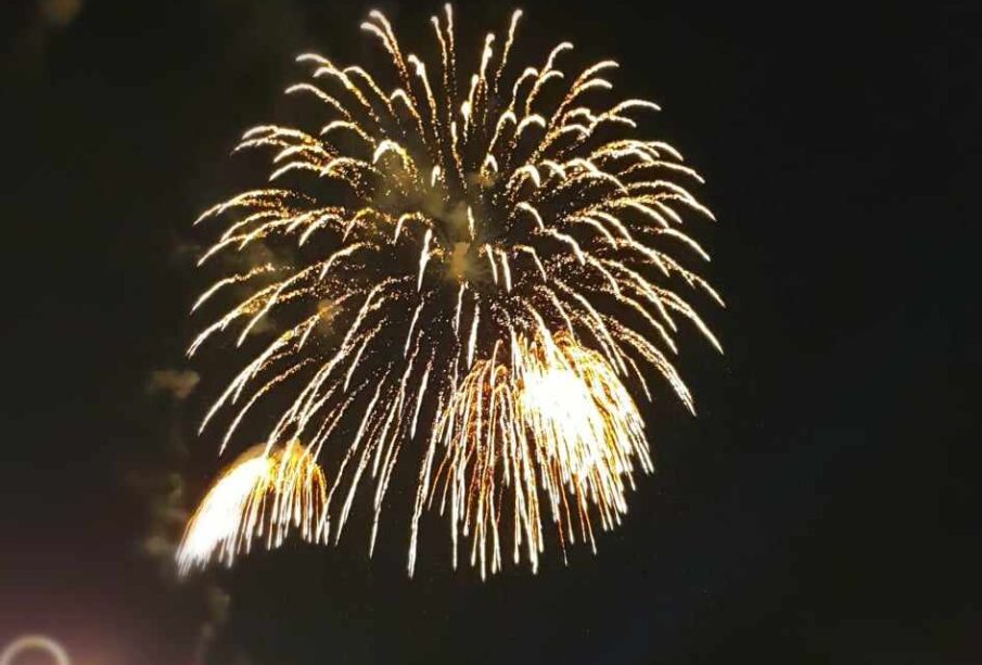 Preuzeto sa izvora: Foto: Niške Vesti/ JM