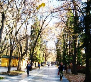 Preuzeto sa izvora: Uhapšeni je zaposlen u JKP "Napredak"; foto: M. Živković