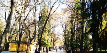 Preuzeto sa izvora: Uhapšeni je zaposlen u JKP "Napredak"; foto: M. Živković