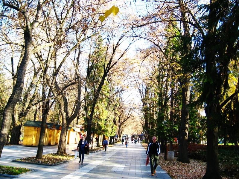 Preuzeto sa izvora: Uhapšeni je zaposlen u JKP "Napredak"; foto: M. Živković