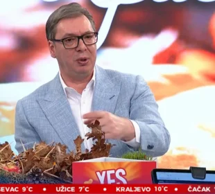 Preuzeto sa izvora: FOTO: TV PINK / SCREENSHOT