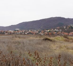 Preuzeto sa izvora: Lozni kalem, lokacija u Niškoj Banji