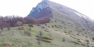Preuzeto sa izvora: Trem; Foto: Niške Vesti/B.Lj.