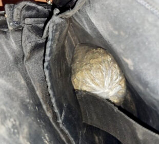 Preuzeto sa izvora: Foto: PU Niš