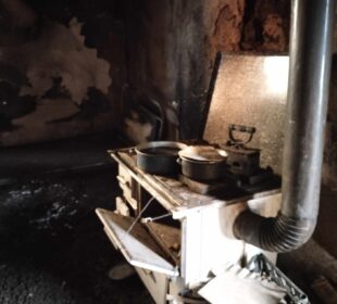 Preuzeto sa izvora: Niške Vesti