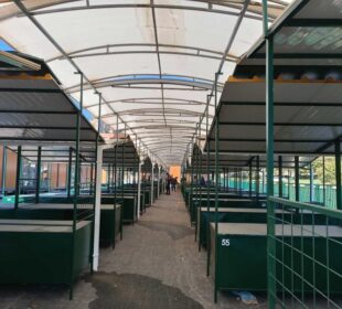 Izvor Južne vesti pantelejska-pijaca