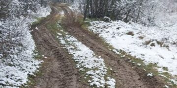 Neasfaltirane ulice u Niškoj Pasi Poljani Izvor Južne vesti