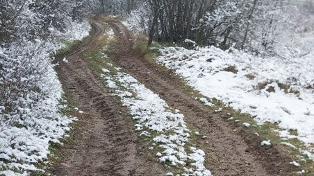 Neasfaltirane ulice u Niškoj Pasi Poljani Izvor Južne vesti