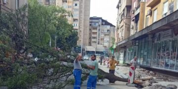 Foto: niskevesti.rs