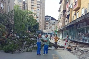 Foto: niskevesti.rs