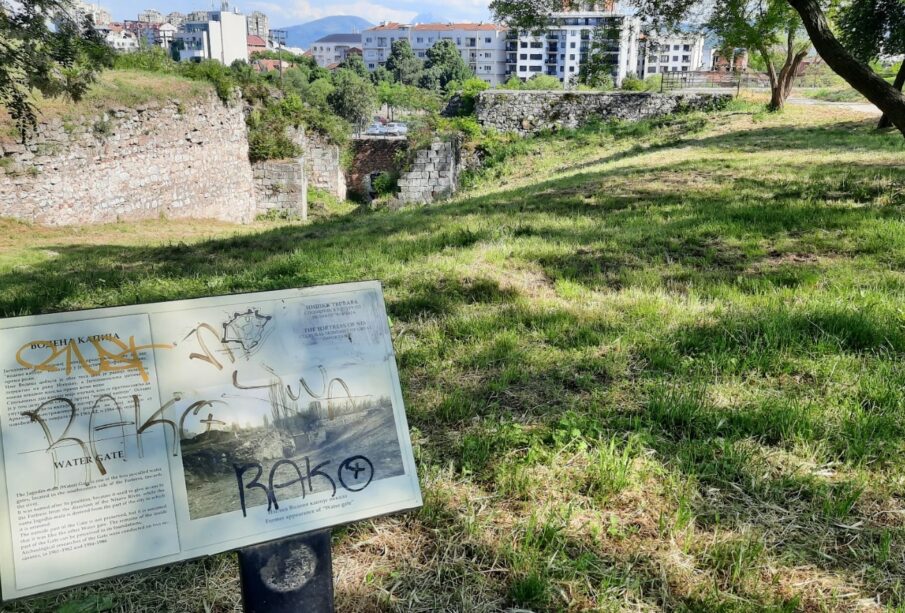 Foto: niskevesti.rs