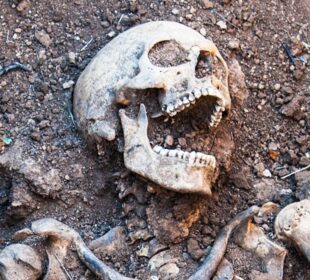Foto: Grigorenko/iStock/Getty Images Plus