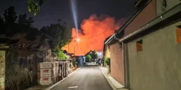 Foto: Niške Vesti