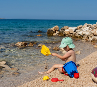 Foto: Shutterstock/Maryia Blizniakova